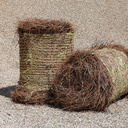 Pine Straw (Long Needle)